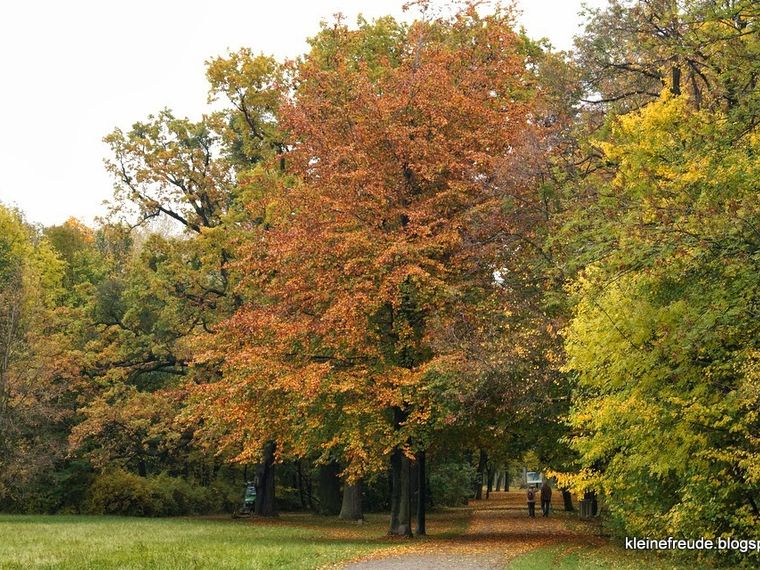 SE Herfstwandeling Wageningen. Singles 45+55+65+