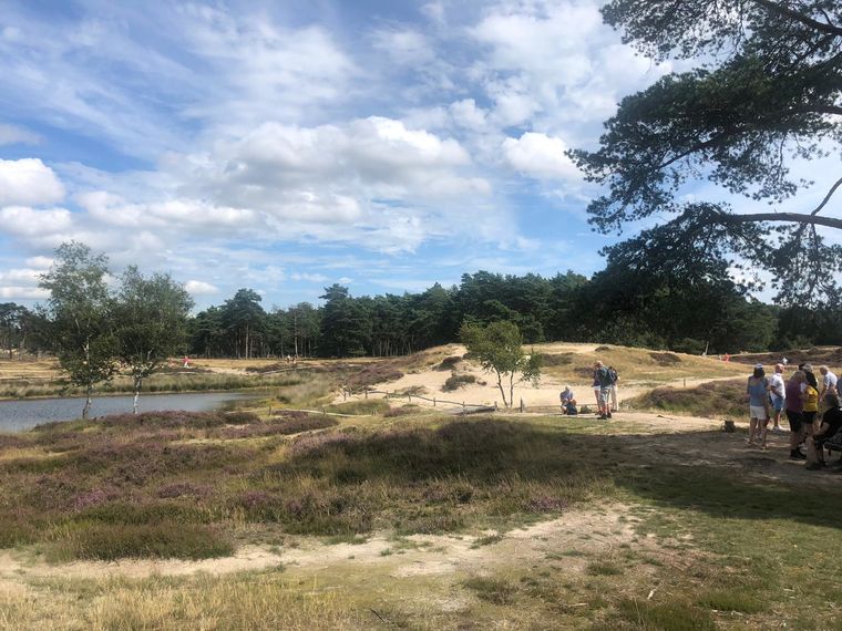 SE Wandelcafe Driebergen Heidestein en lammetjes! Wandelen singles 45+55+65+