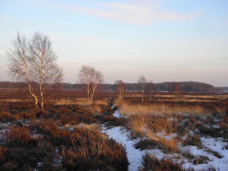 SE Wandelcafe Ede Ginkel & lammetjes! NIEUW Met singles 45+55+65+