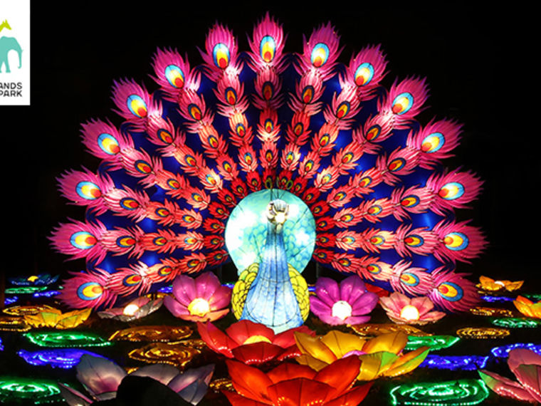 LightNight @Ouwehands dierenpark Rhenen. Spreek af met je date/ singles!