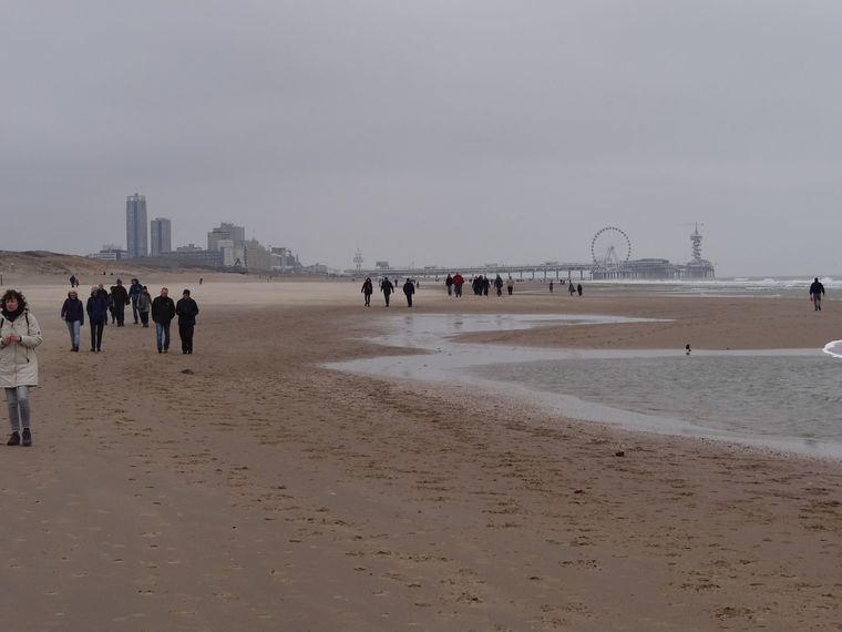Wandelen strand en duinen Scheveningen