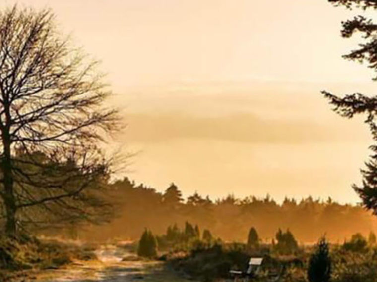 Wandeling (6km) en wat drinken Echten