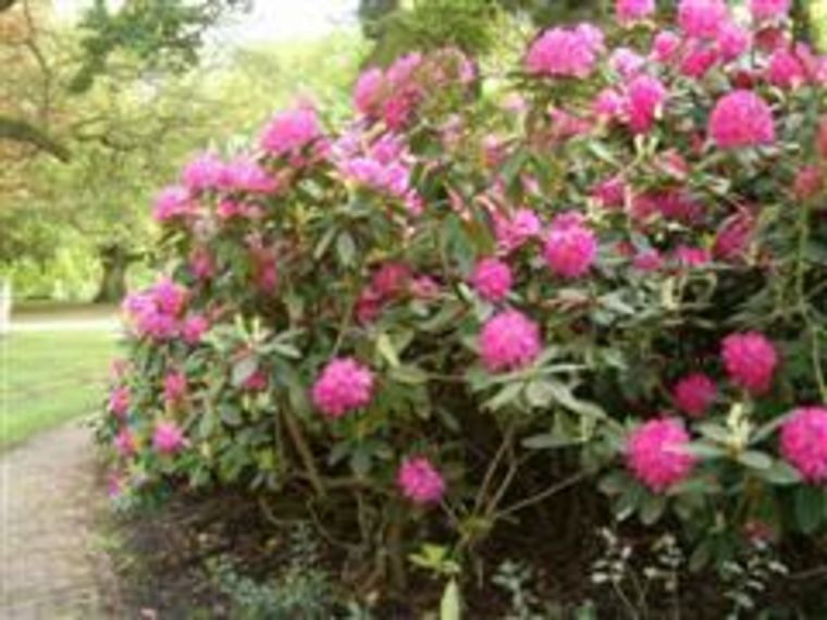 Wandelcafe Zeist slot en landgoederen!