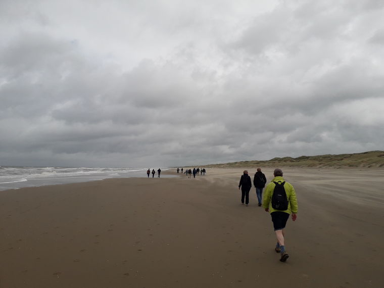 Wandelen strand en duinen Scheveningen