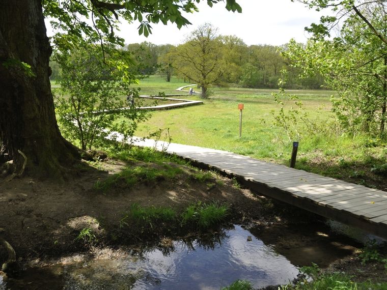 Nazomers wandelcafe Renkums Beekdal Wageningen.
