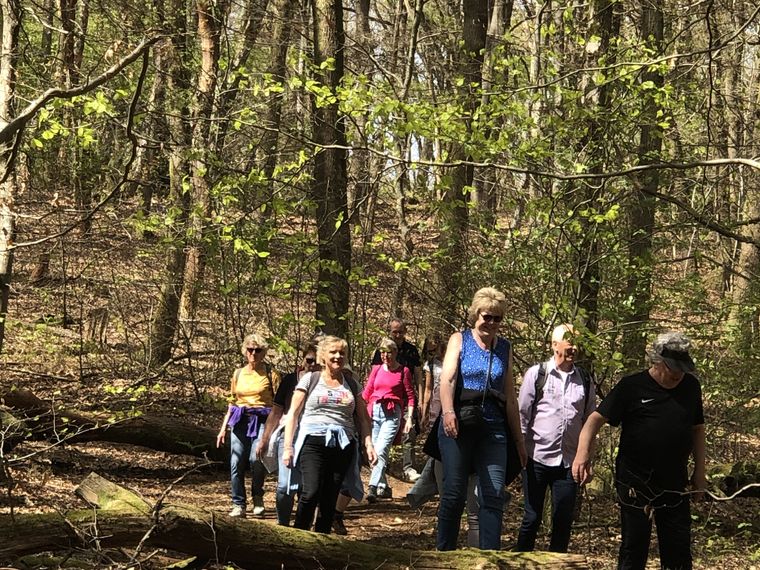 Wandelcafe Renkums Beekdal Wageningen.