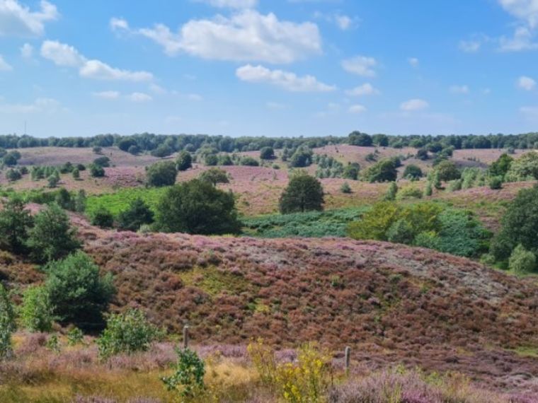 Wandeling 14 km veluwezoom