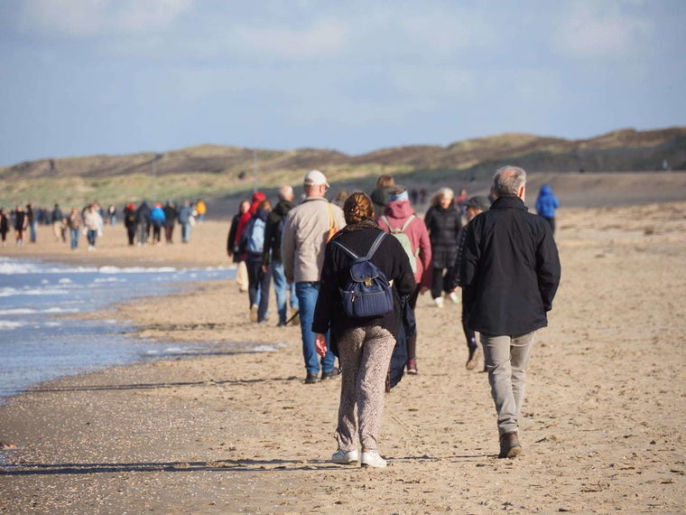 Wandelen strand en duinen Scheveningen