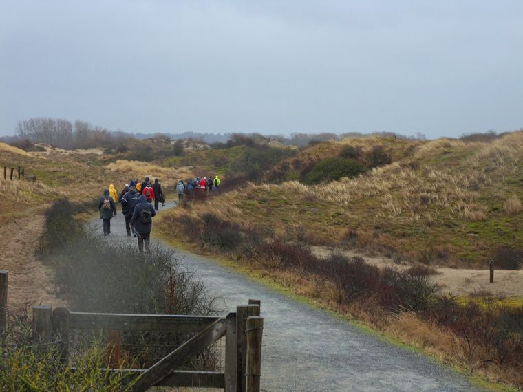 Wandelen strand en duinen Scheveningen