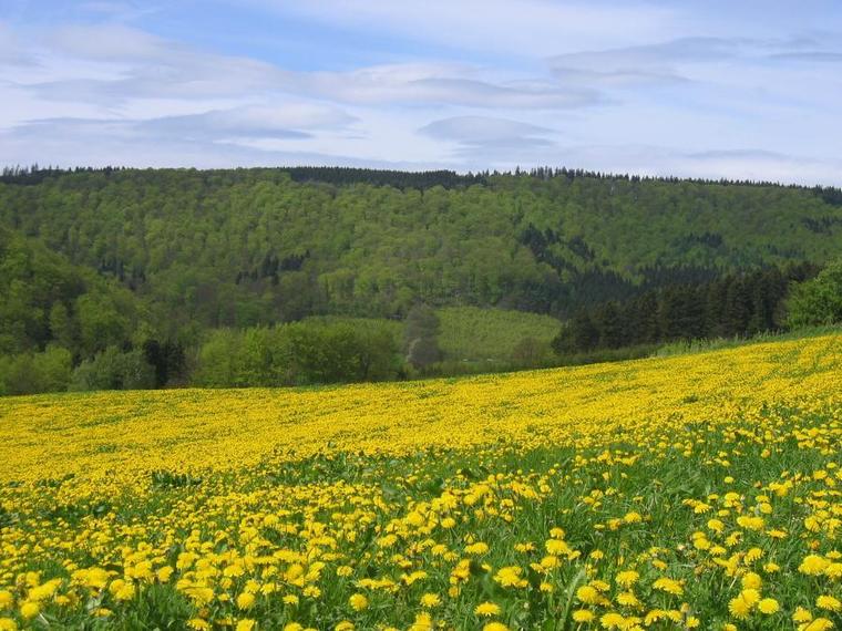 Pinksteren single weekend Sauerland