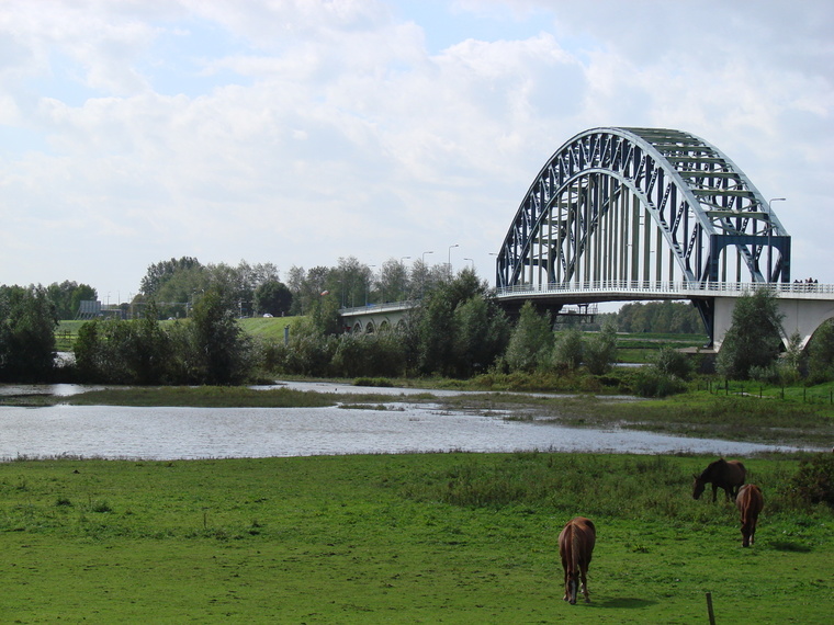 Wandelcafé & Klinkerfestival Zwolle. Singles 35+