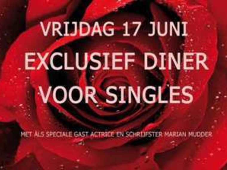 Single Diner en lezing 'De perfecte minares