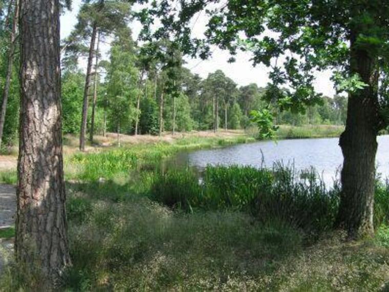 Wandelcafé Oisterwijkse Vennen.