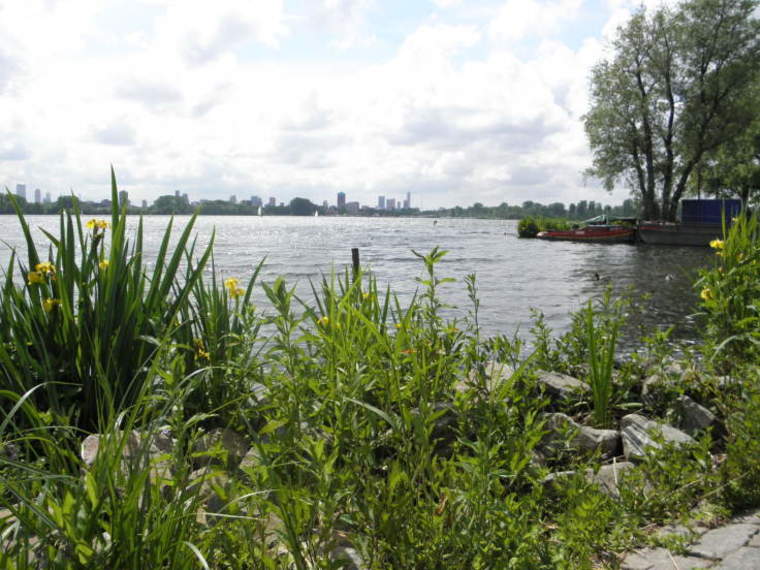 Wandelcafé Rotterdam Kralingse Plas. Singles 35+