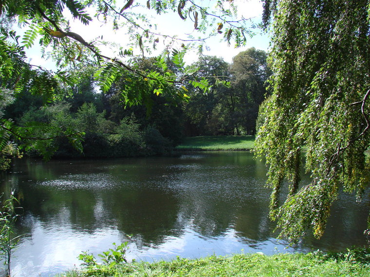 Wandelcafé Zwolle. Singles 35+