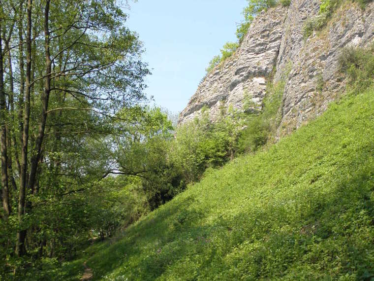 Ardennen weekendje weg. Wandelen of Outdoor! Singles 35+.