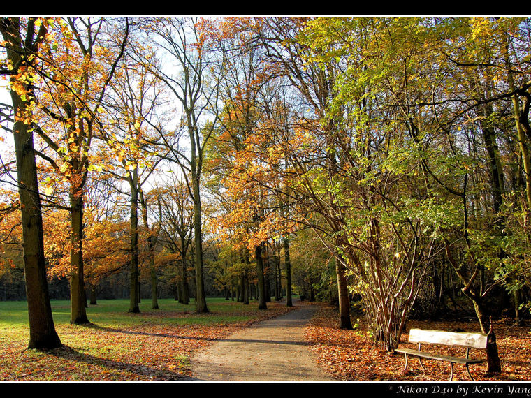 Wandelcafé Rotterdam Kralingse Plas. Singles 35+