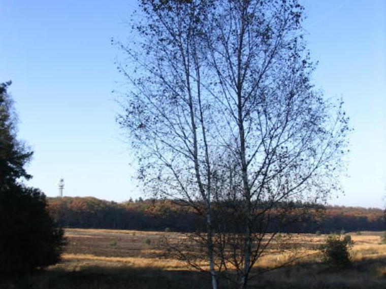 Herfst Wandelcafé Renderklippen Epe (sorry dus NIET Ede)