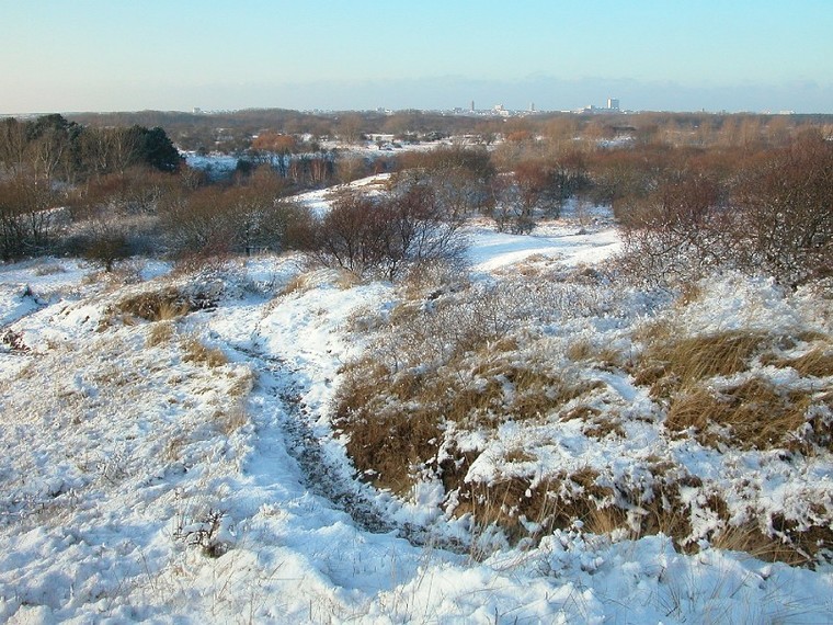 Nieuwjaarswandeling Waterleidingduinen Zandvoort