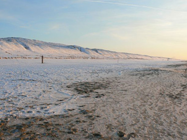 Winter Wandelcafé Strand & Duinen Meijendel Wassenaar