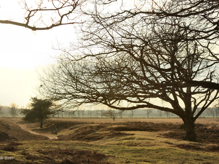 Pasen Single Weekend weg - Mooi Drenthe!