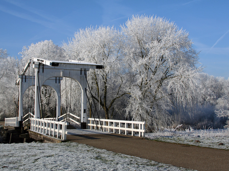 Winter Wandelcafé Amsterdamse Bos. Singles 35+