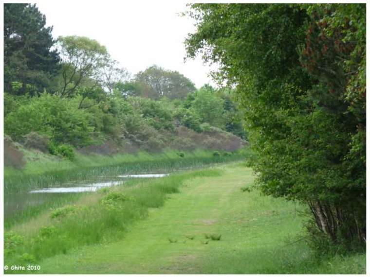 Lente Wandelcafé Waterleidingduinen Zandvoort