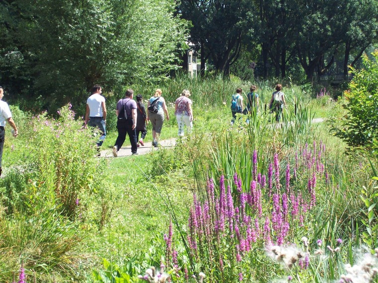 Zaterdag wandelen Utrecht. Amelisweerd