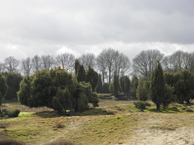 Wandelcafé Hattem & Algemene Veen. Singles 35+