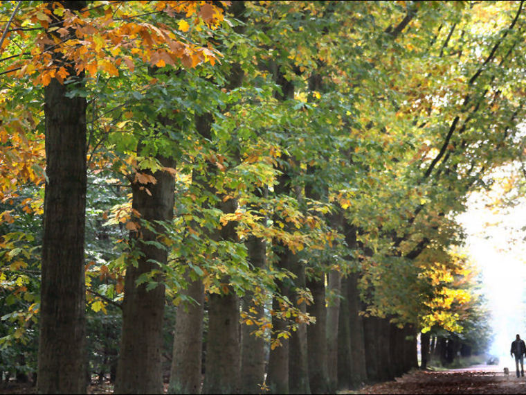 Wandelcafé singles Breda Mastbos & rivier Mark
