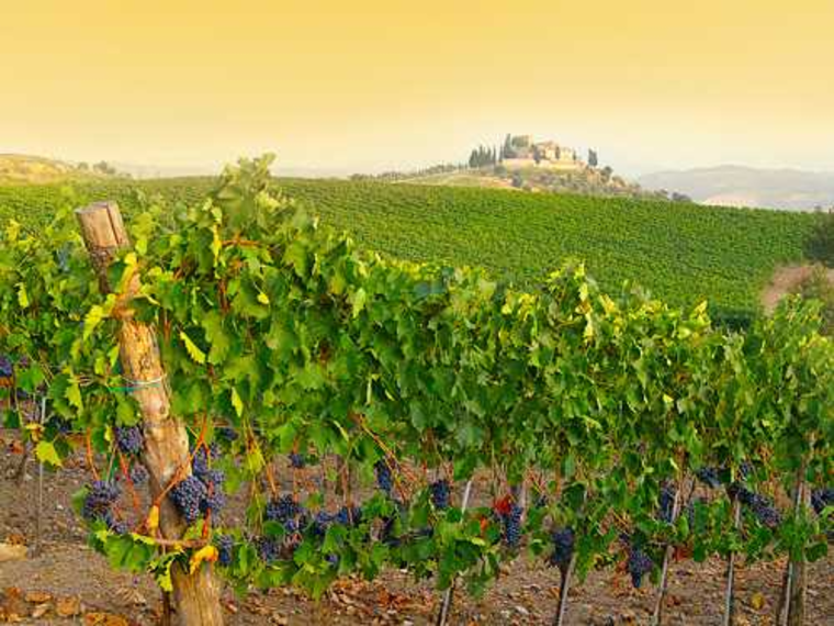 Singlereis Italie Culinair. Toscane & Florence. GAAT NIET DOOR