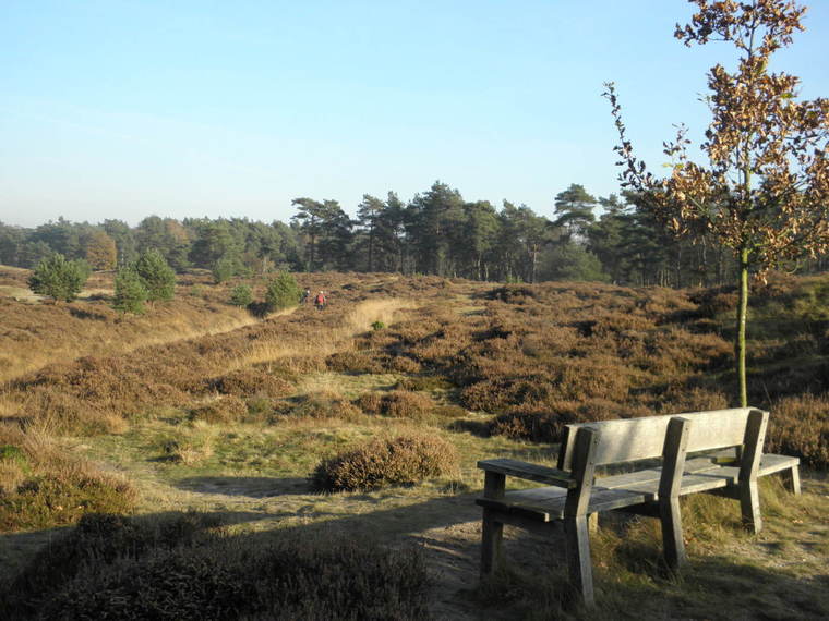 Pinksteren Wandelcafé Zeist. Landgoed Heidestein. Singles 35+