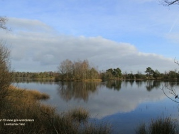 Wandelcafé Leersumse Veld. Vennen, heide, bos