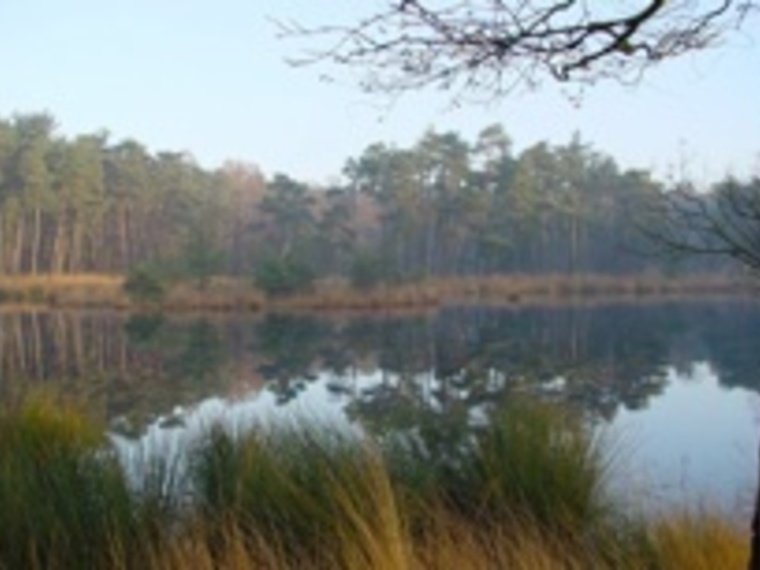 Wandelen Oisterwijkse Vennen.