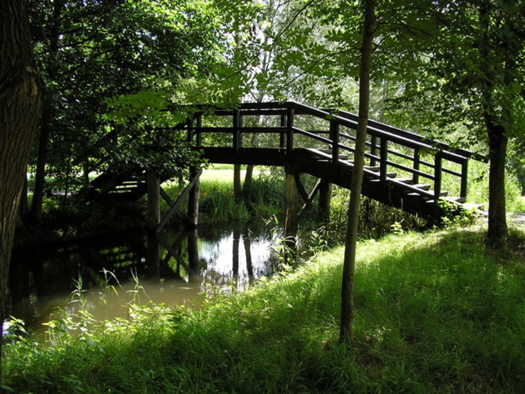 Singles fietsvakantie Spreewald. Duits Venetië. 7 dagen.