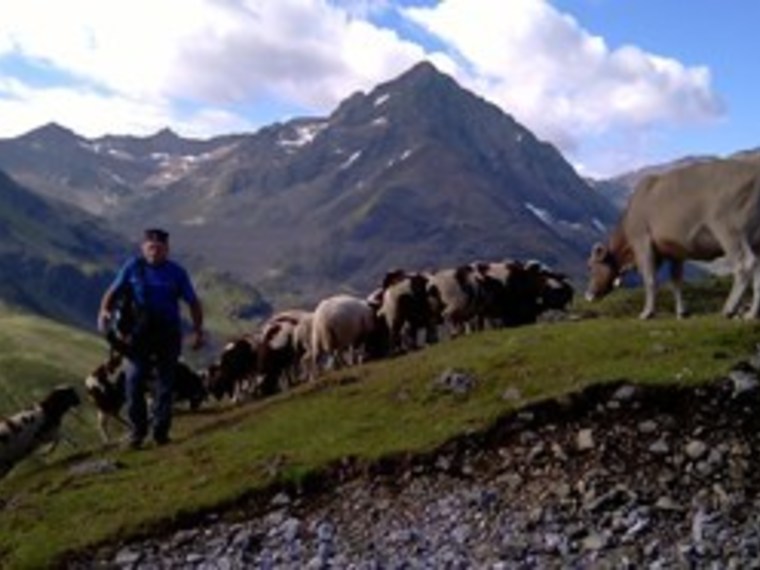 Singles wandelreis Oostenrijk. Ötztal,Tirol. 8 dagen.