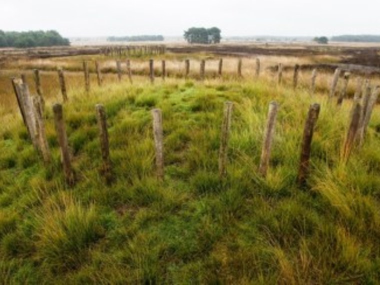 Wandelcafé Riel bij Goirle- Tilburg, Regte Heide