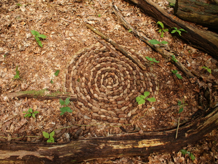 Natuurkunst. 5-daagse vakantieworkshop Utrecht.