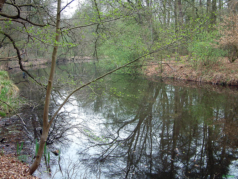 Wandelen Ommen Het Laar en Besthmenerberg