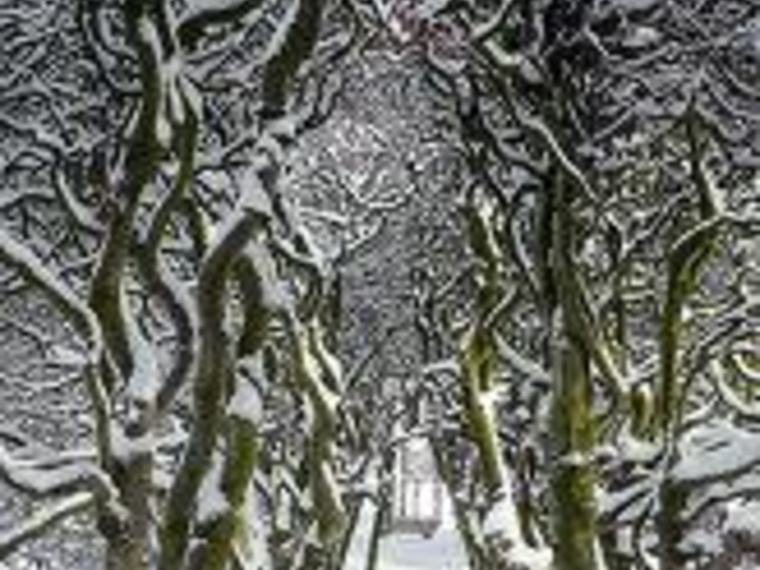 Kerst- Eetcafé en wandeling Arnhem