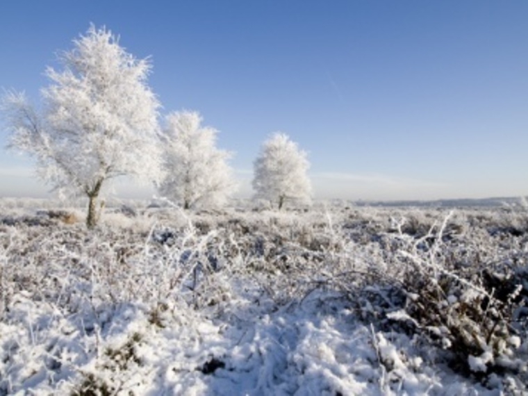 Wandelcafé Ginkelse Heide singles 40+ 50+ 60+