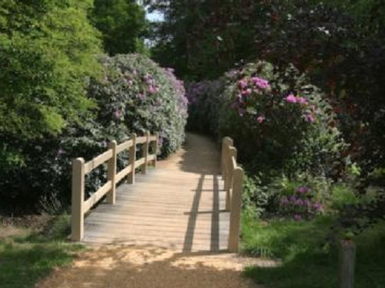 Wandelcafé Baarn Landgoed Groeneveld & De Vuursche. Singles 40+50+60+