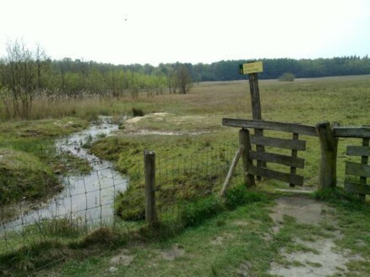 Wandelcafé Epe, Wisselse Veen. Singles 40+50+60+