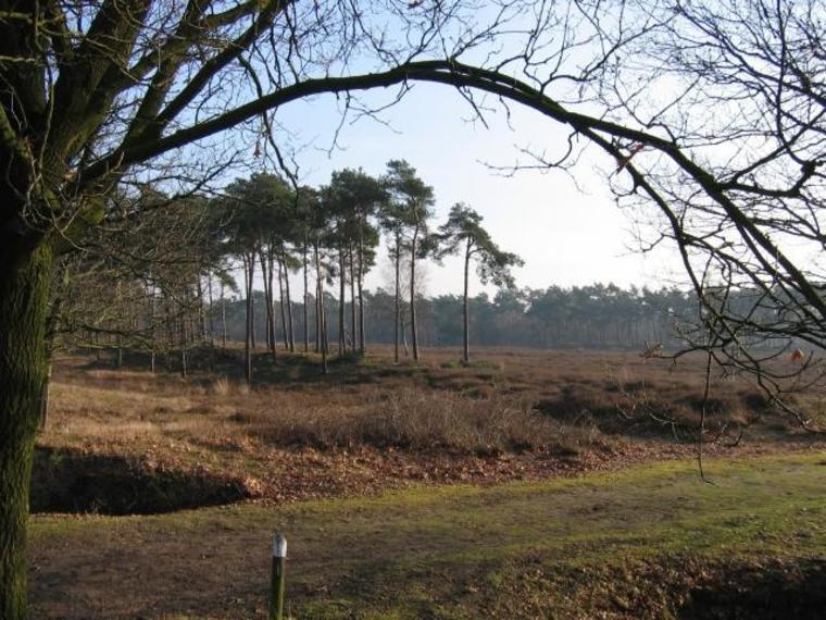 Wandelcafé Oss/ Herpen Herperduin. Singles 40+50+60+ GAAT NIET DOOR