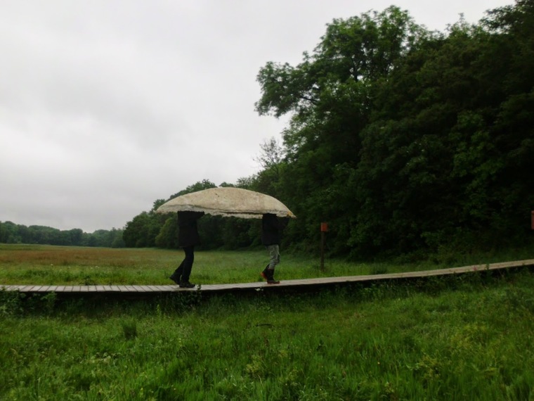 Wandelcafé Renkums Beekdal & Kunstroute! Wandelen Singles 40+50+60+