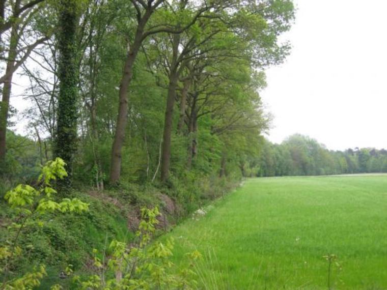 Wandelcafé Den Bosch. Landgoed De Pettelaar. SIngles 40+50+60+