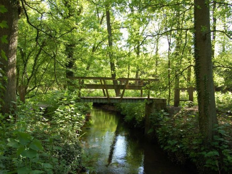 Koningsdag Wandelcafé & Esbeek. Landgoed De Utrecht. GAAT NIET DOOR!
