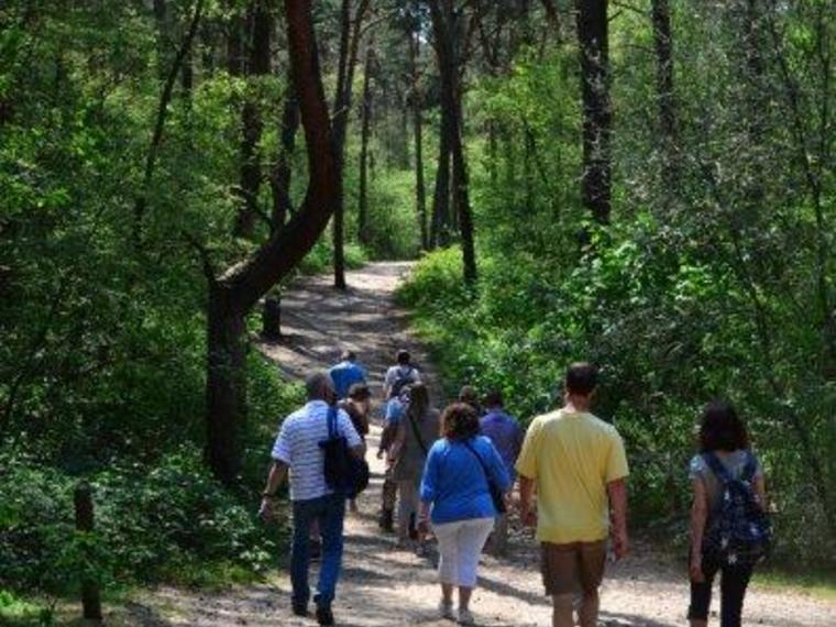 Wandelcafé Loonse en Drunense Duinen. Wandelen singles 40+50+60+