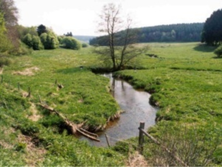 Wandelcafé Liempde. Langs de Dommel!  Wandelen singles 40+ 50+ 60+