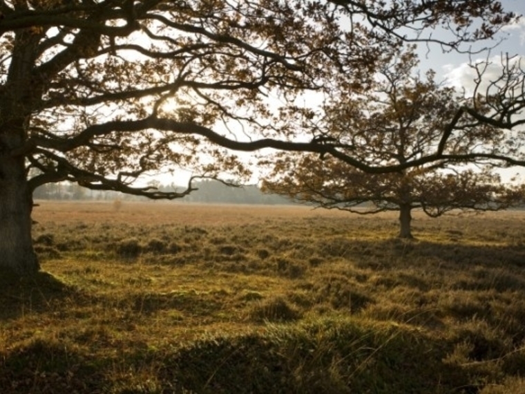Meditatie- en wandelweekend Drenthe, 4 dgn